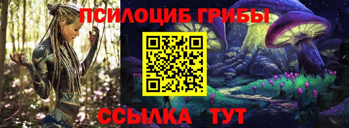 магазин продажи   Псилоцибиновые грибы MAGIC MUSHROOMS  Вход с VPN  Скопин 